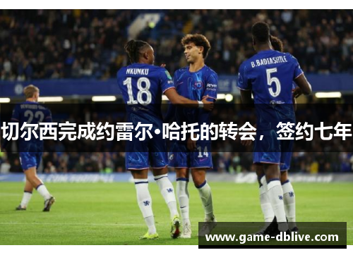 切尔西完成约雷尔·哈托的转会，签约七年